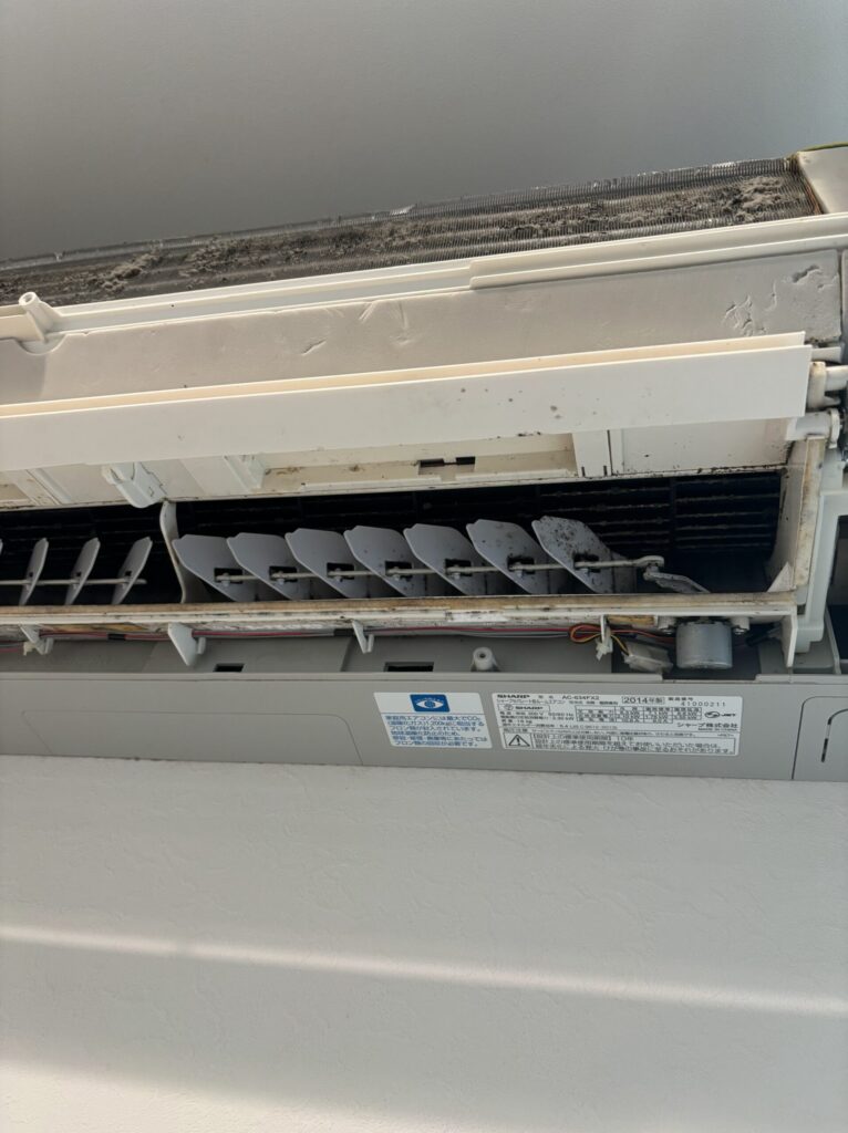 エアコン内部の側面パーツ。湿気により黒カビが繁殖し、衛生的に問題がある状態