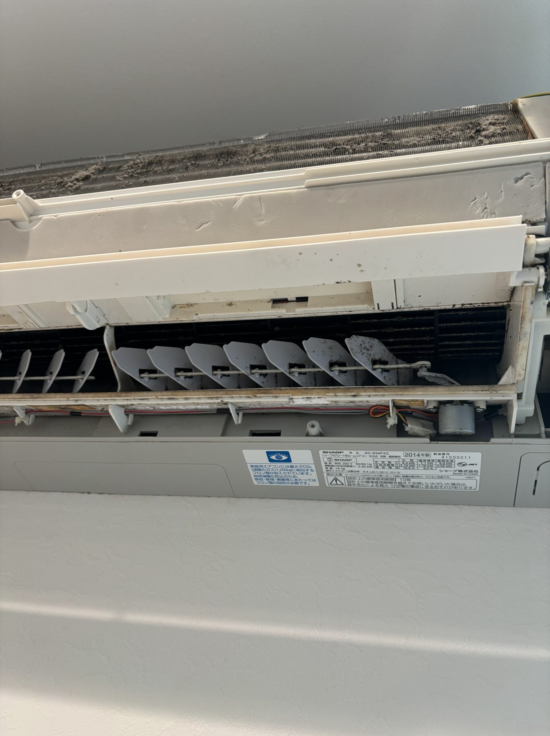エアコン内部の側面パーツ。湿気により黒カビが繁殖し、衛生的に問題がある状態